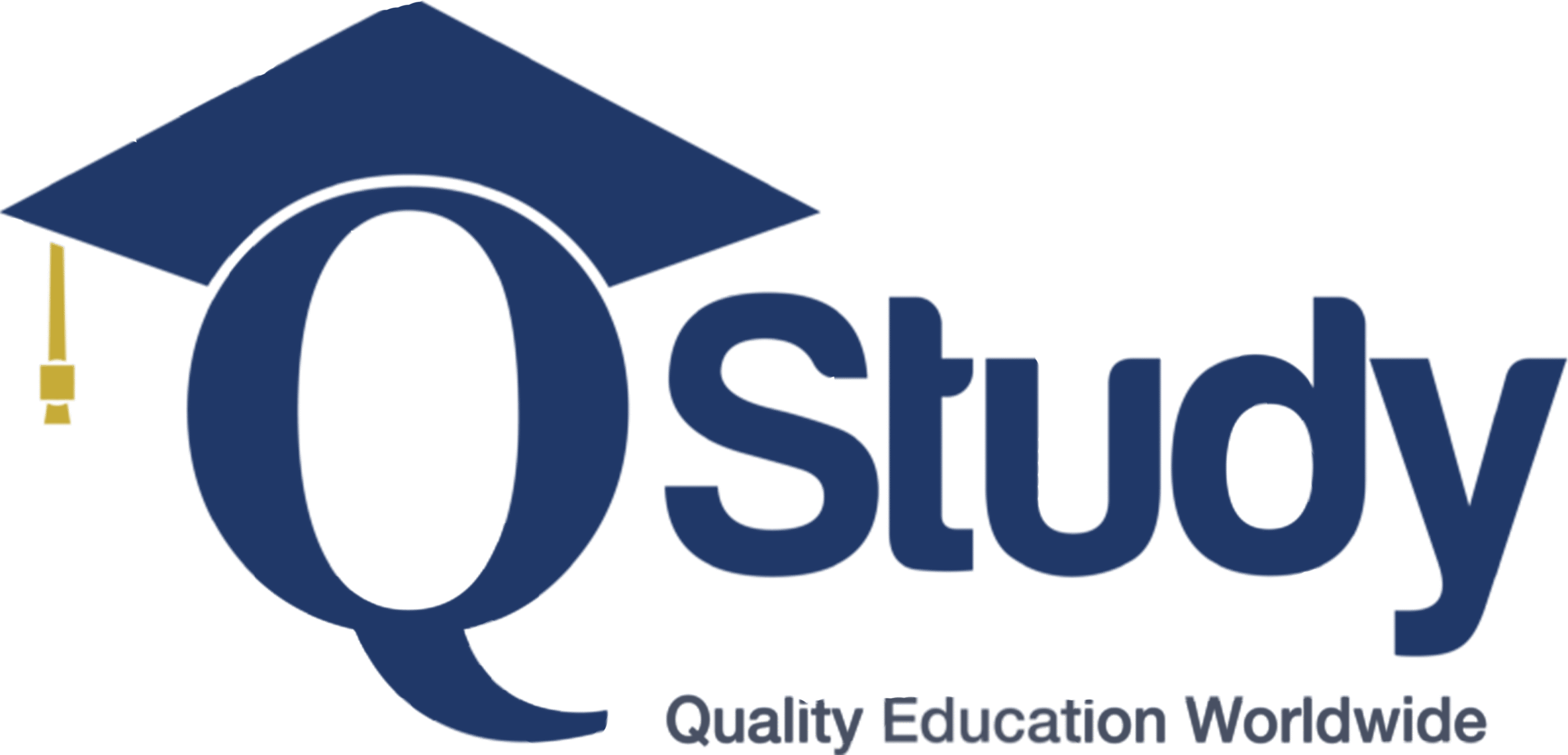 Q Study