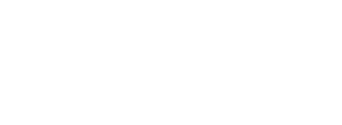 Shanghai University